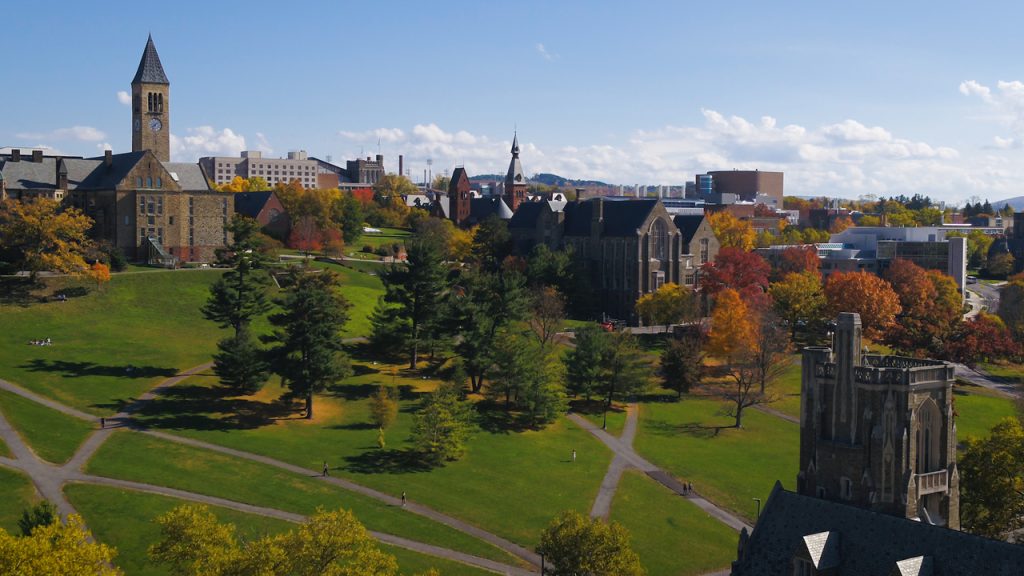 Cornell University - Faculty Institutional Recruitment for Sustainable ...